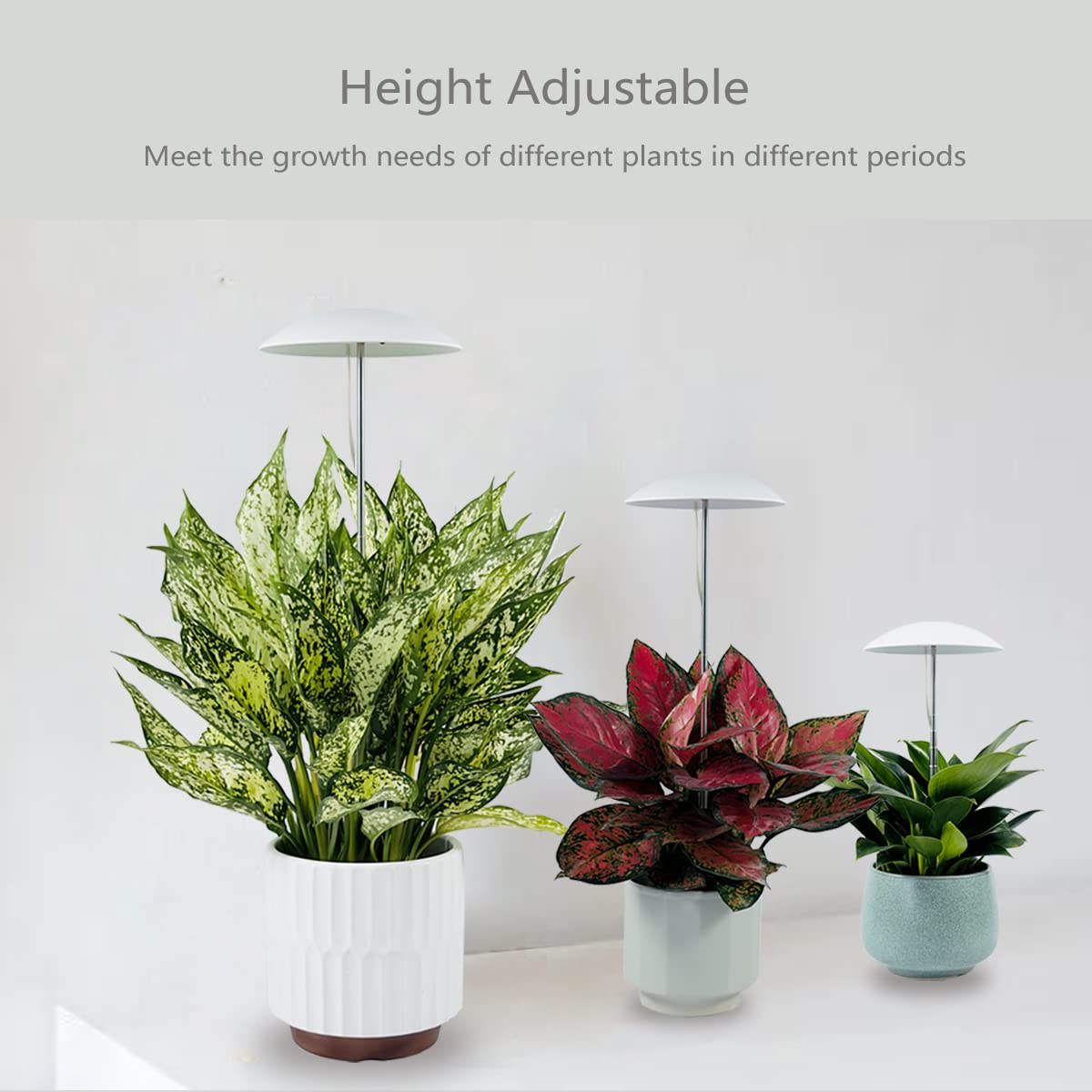 Witsanlex LED grow lights with remote control for easy adjustments and timers.