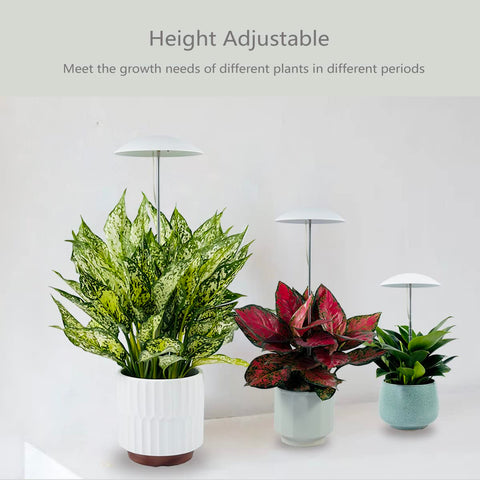 Witsanlex LED grow lights with remote control for easy adjustments and timers.