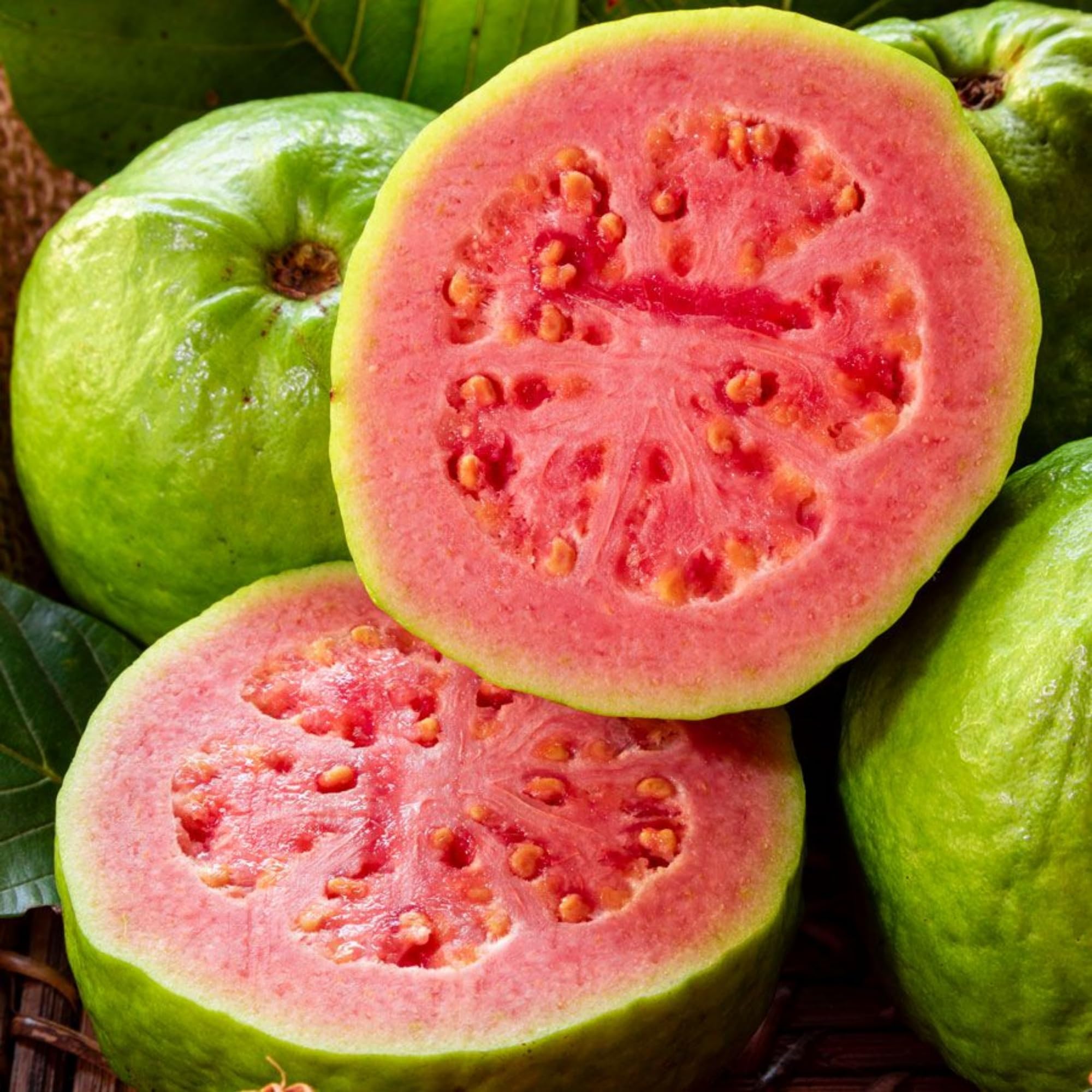 Wivolibe guava seeds pack for outdoor planting and fresh tropical fruit potential.