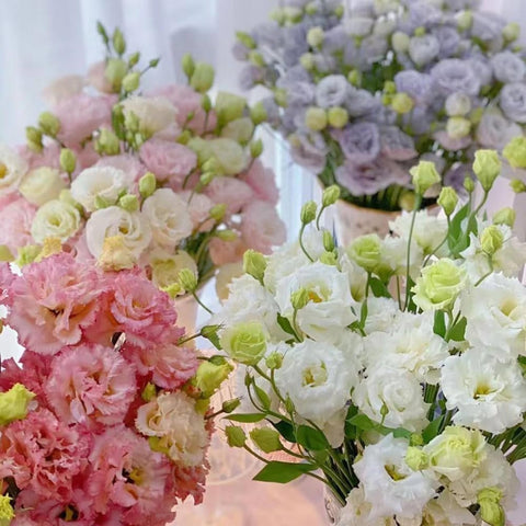 Wivolibe lisianthus cut flowers arranged in an elegant bouquet.