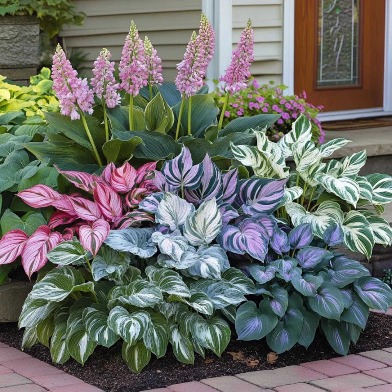 Wivolibe blooming hosta flowers attract pollinators in outdoor beds.