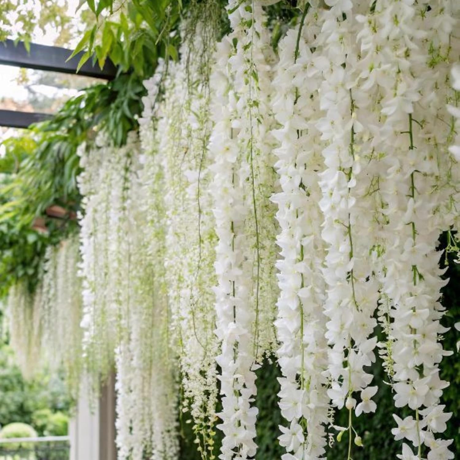 Wivolibe weeping jasmine seeds bloom close-up, showcasing white flowers and delicate fragrance.