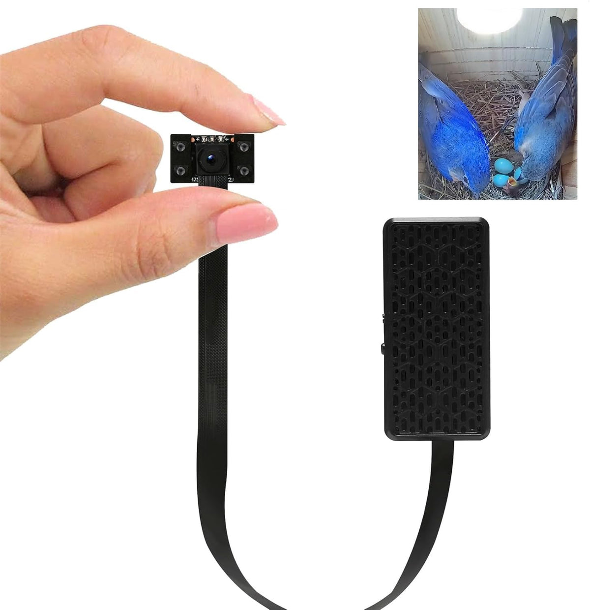 WIWACAM Bird Box Camera front view for crisp 4K live video on mobile