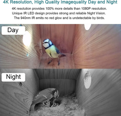 WIWACAM Bird Box Camera inside view shows birds close-up inside the box