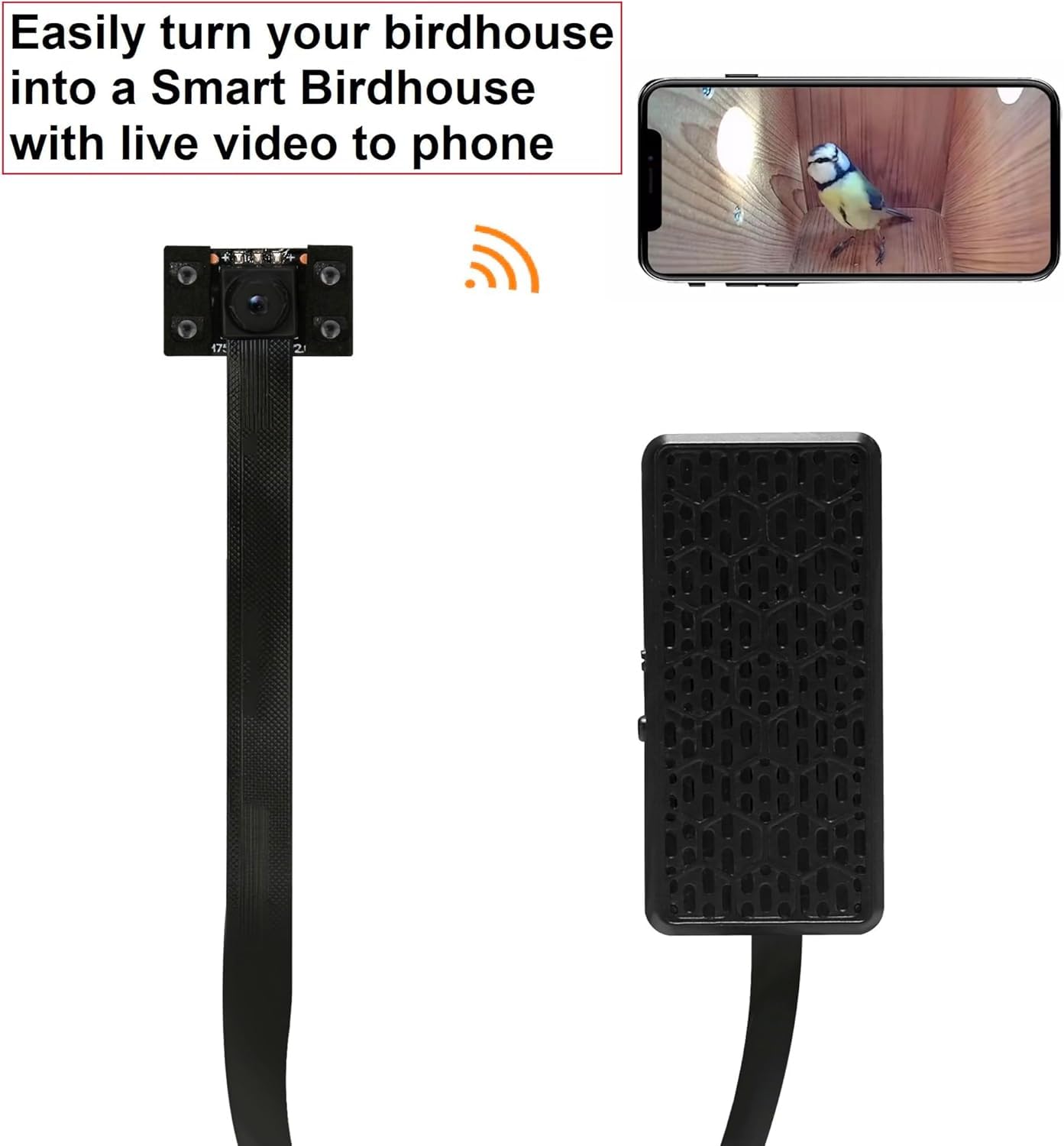 WIWACAM Bird Box Camera night vision for nocturnal bird activity