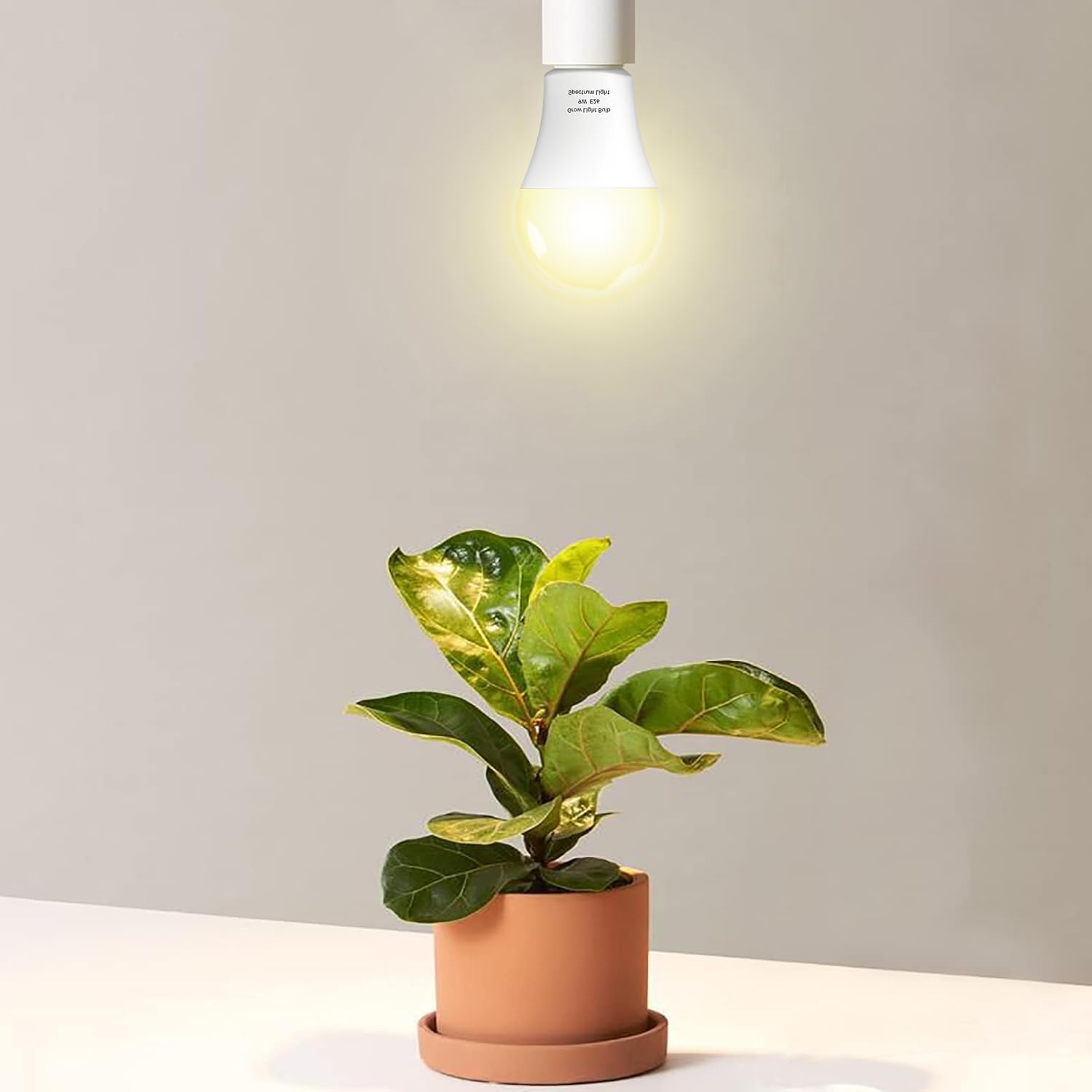 Wiyifada bulbs deliver uniform spectrum across 400-740nm for healthy growth