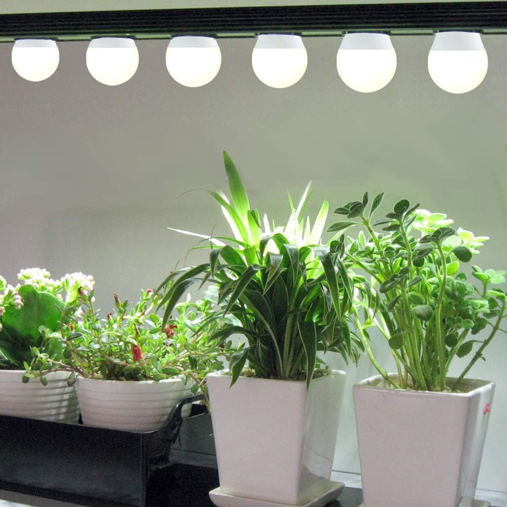 Wiyifada energy-saving plant light reduces electricity while powering thriving indoors