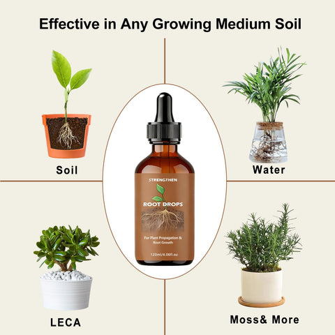 WJunHua Root Drops helps reduce transplant stress during repotting for indoor plants.