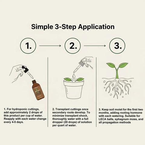 WJunHua Root Drops bottle to nourish pothos, monstera, philodendron, and ficus lyrata.