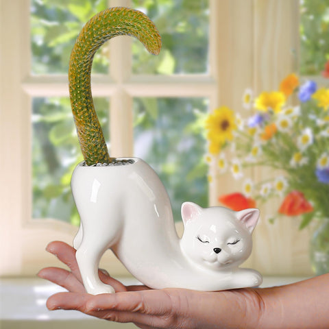 WKHOKI white ceramic cat planter adds charm to any space