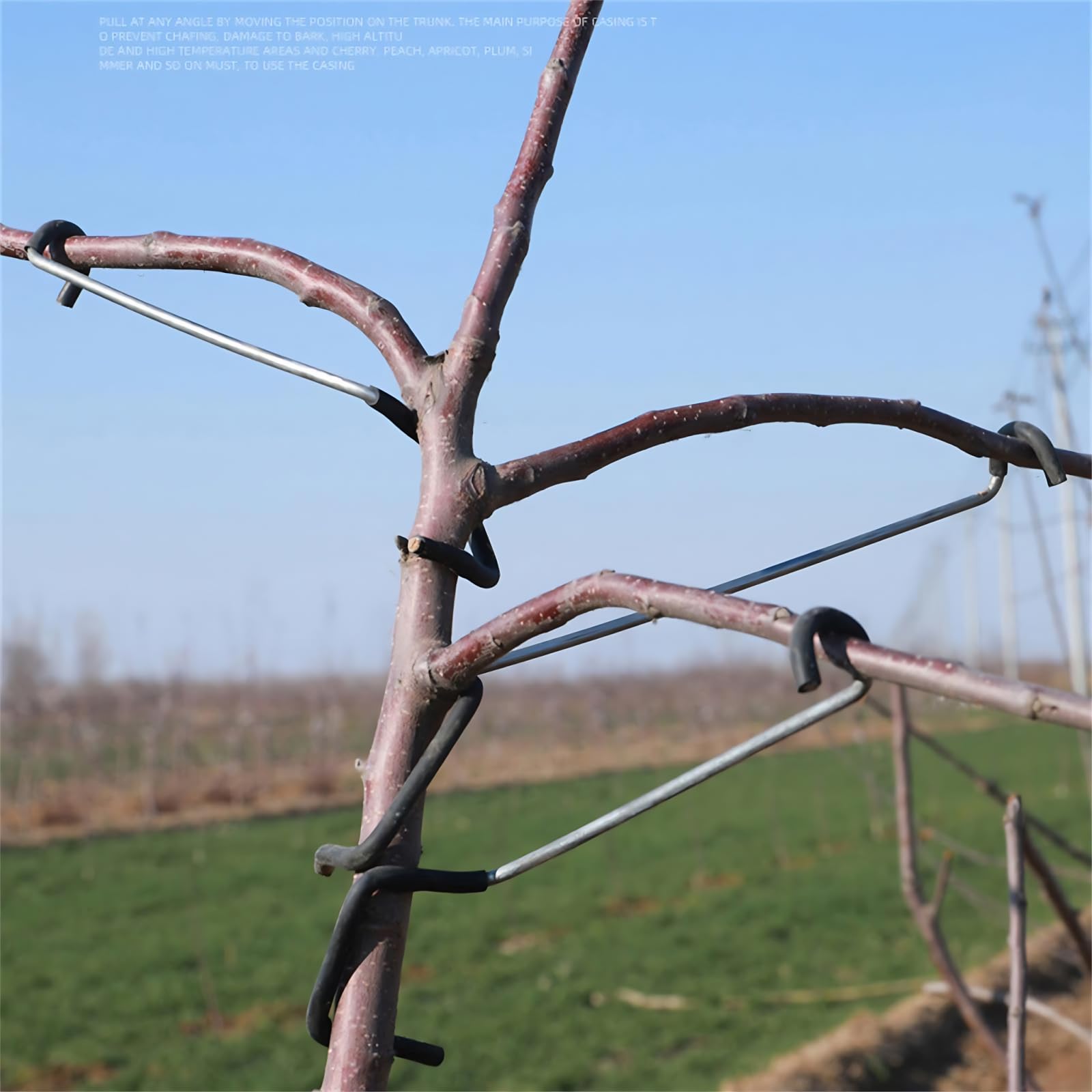 WLSANX branch puller 18T shown lifting a limb for even growth