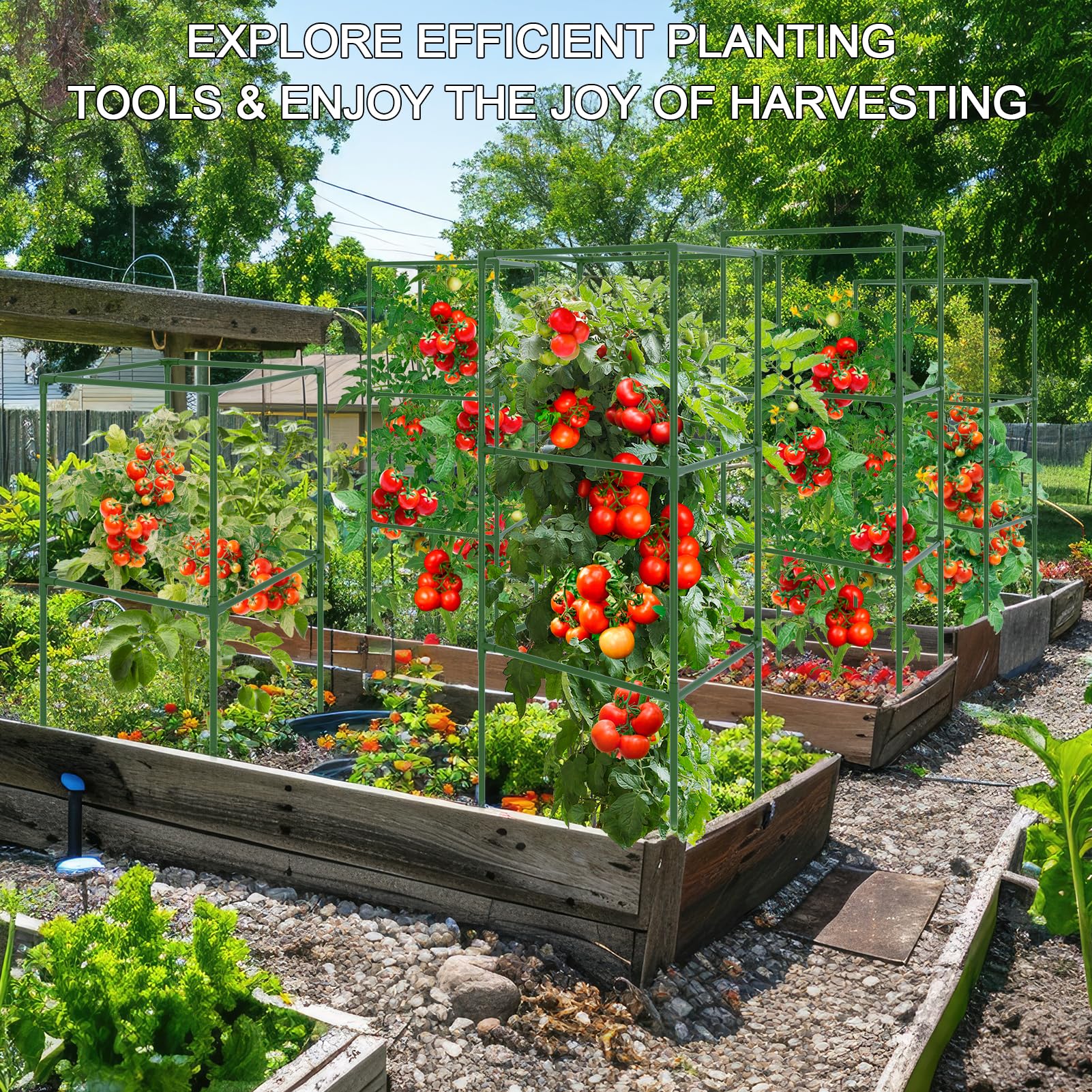 WLLEYAY 50-inch square trellis promotes airflow and sun exposure.