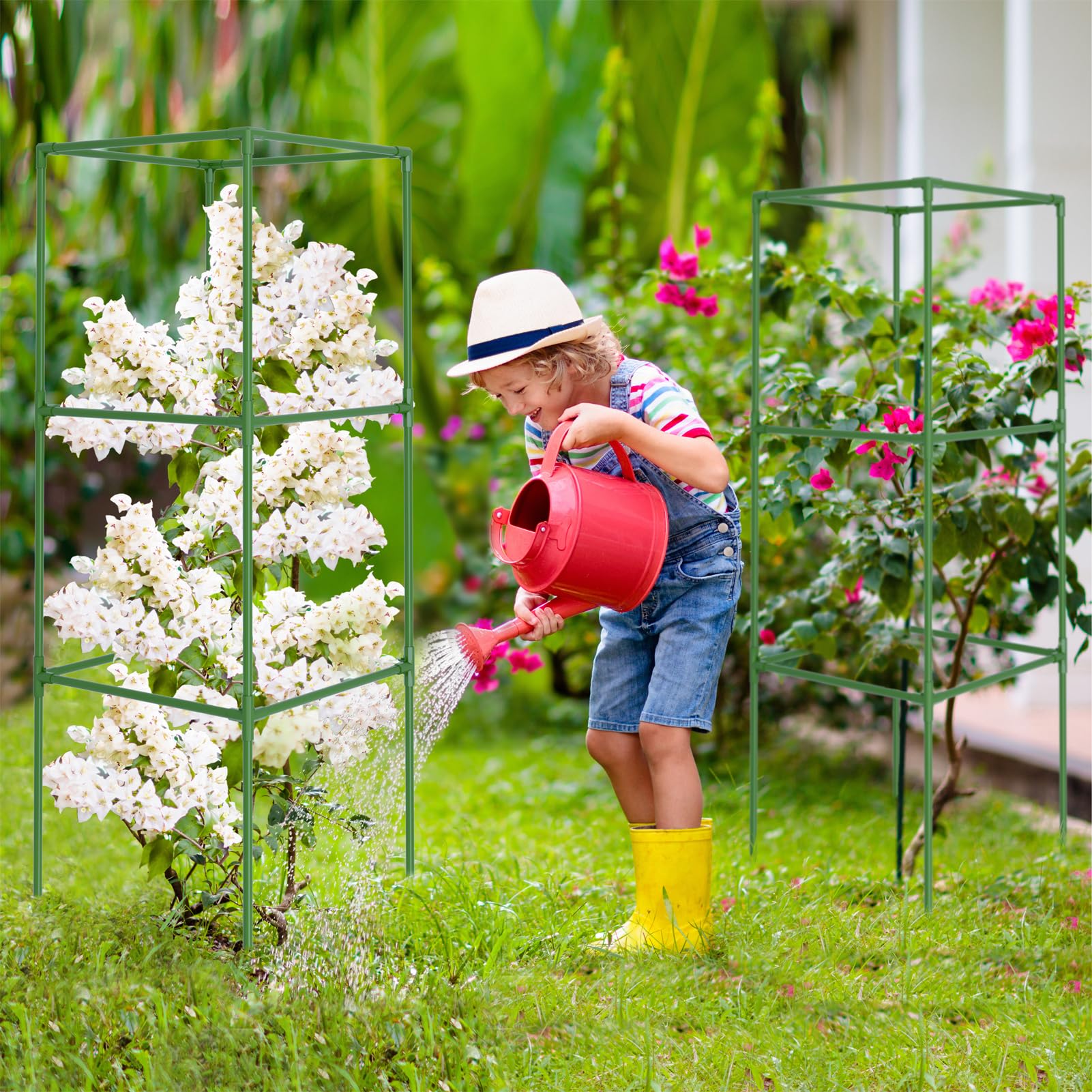 WLLEYAY 6-lb square cage provides stable support for heavier vines.