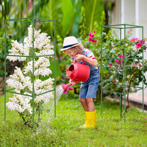 WLLEYAY 6-lb square cage provides stable support for heavier vines.