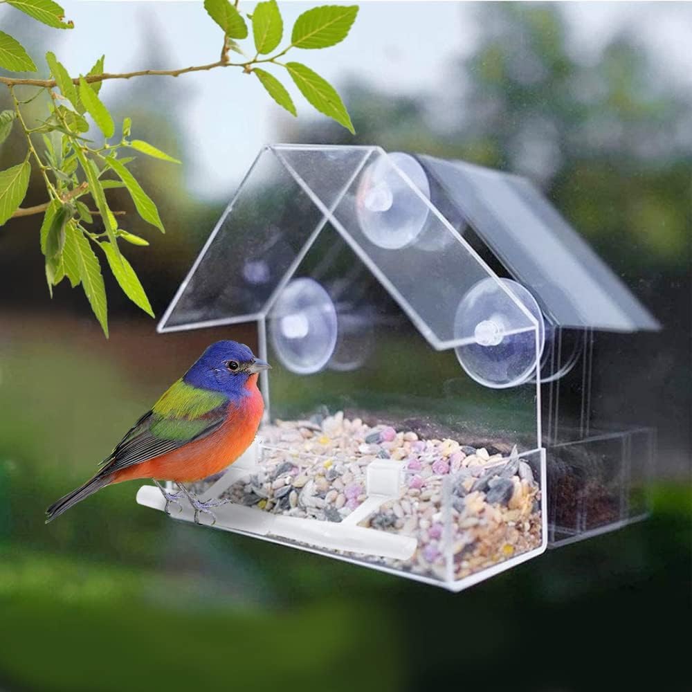 WLLKOO Window Bird Feeder drain holes keep seed dry after rain
