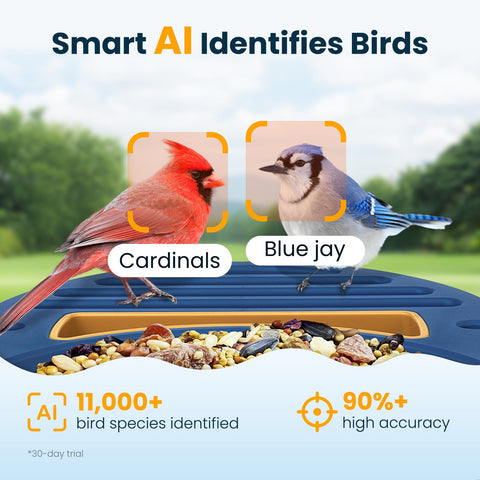 WLNYUGS 2.5K UHD video view reveals detailed plumage.