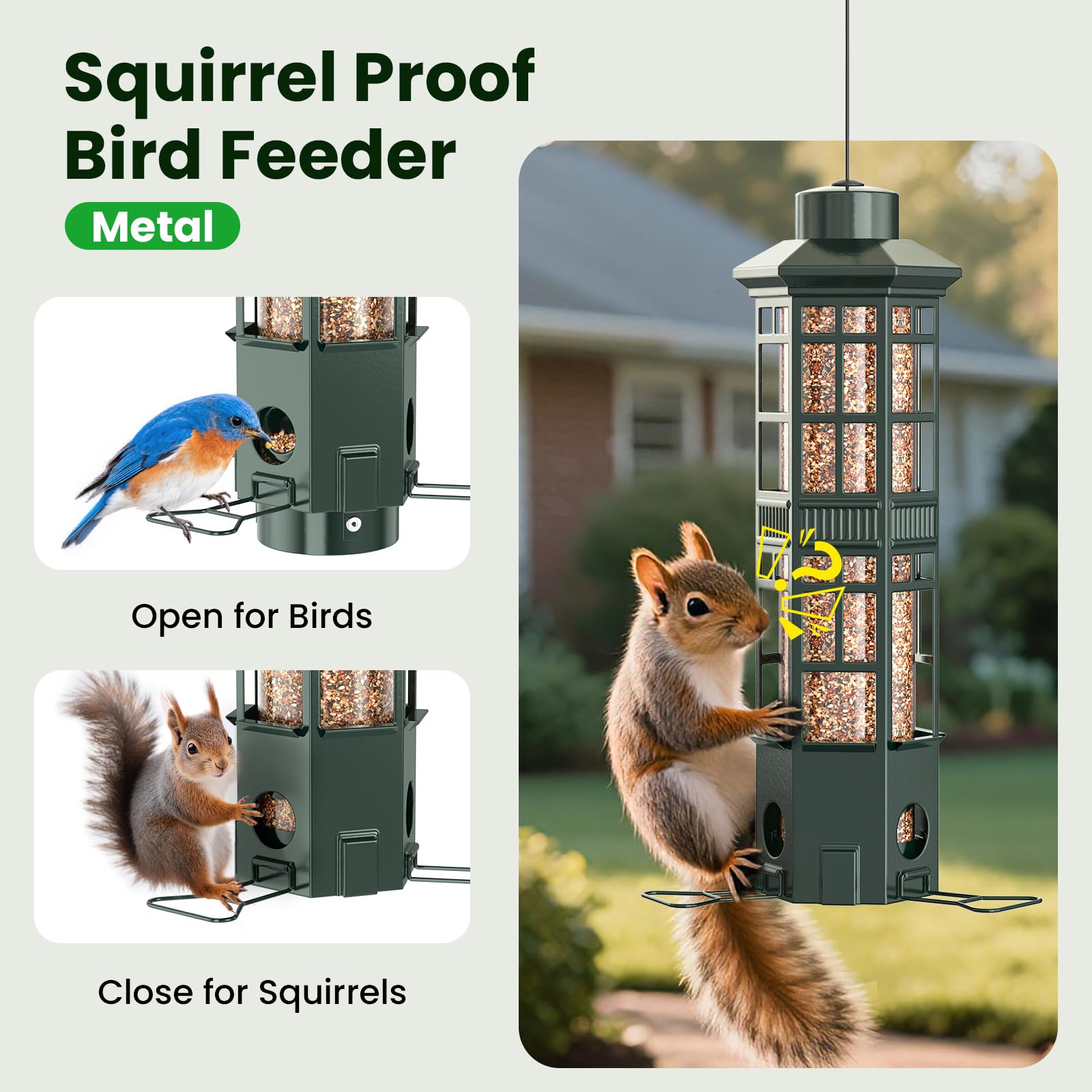 WLNYUGS gravity-spring closure keeps seeds for birds while deterring squirrels