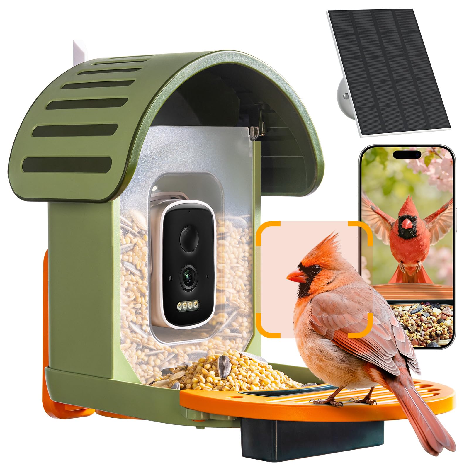 WLNYUGS smart bird feeder camera captures vivid 2.5K video.