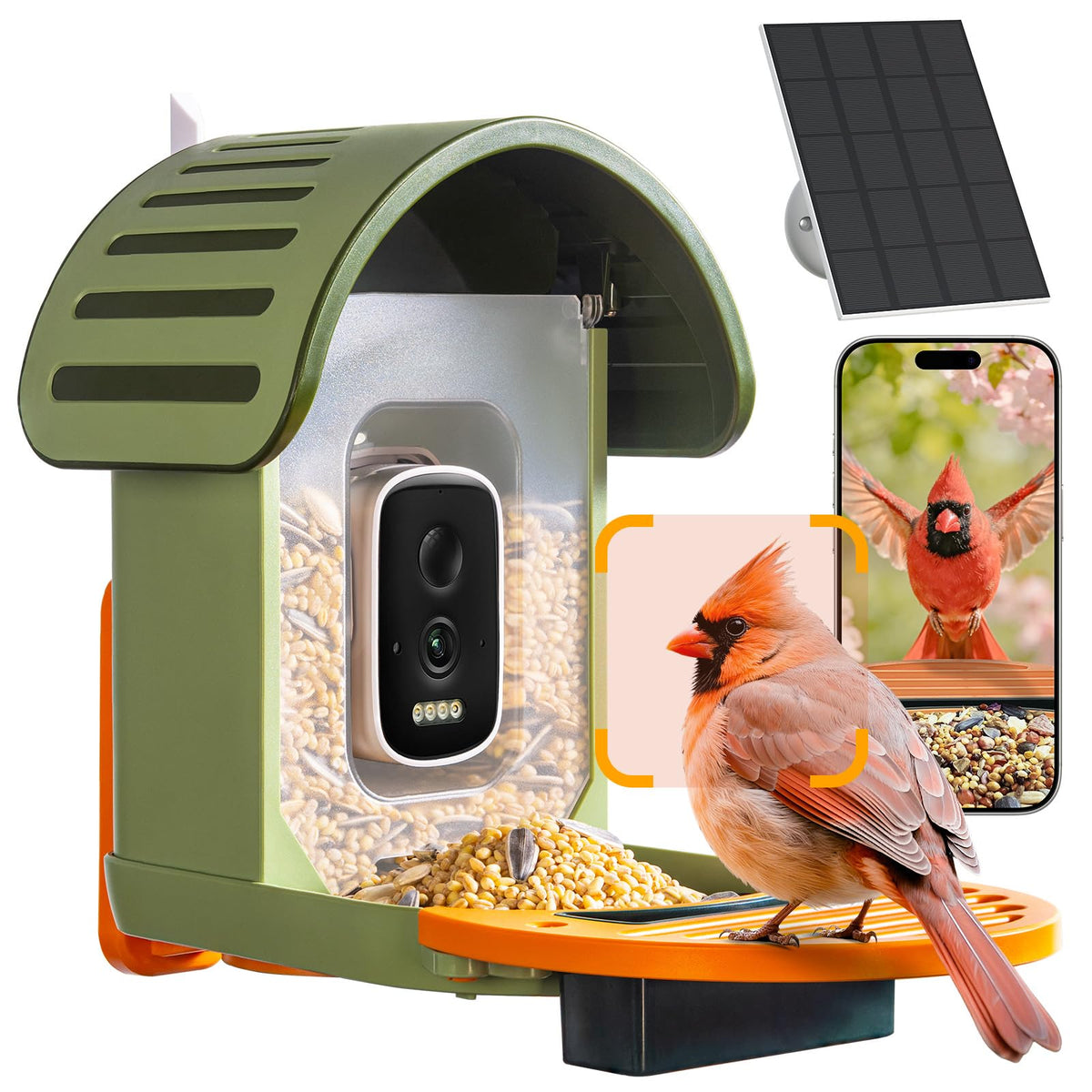 WLNYUGS smart bird feeder camera captures vivid 2.5K video.