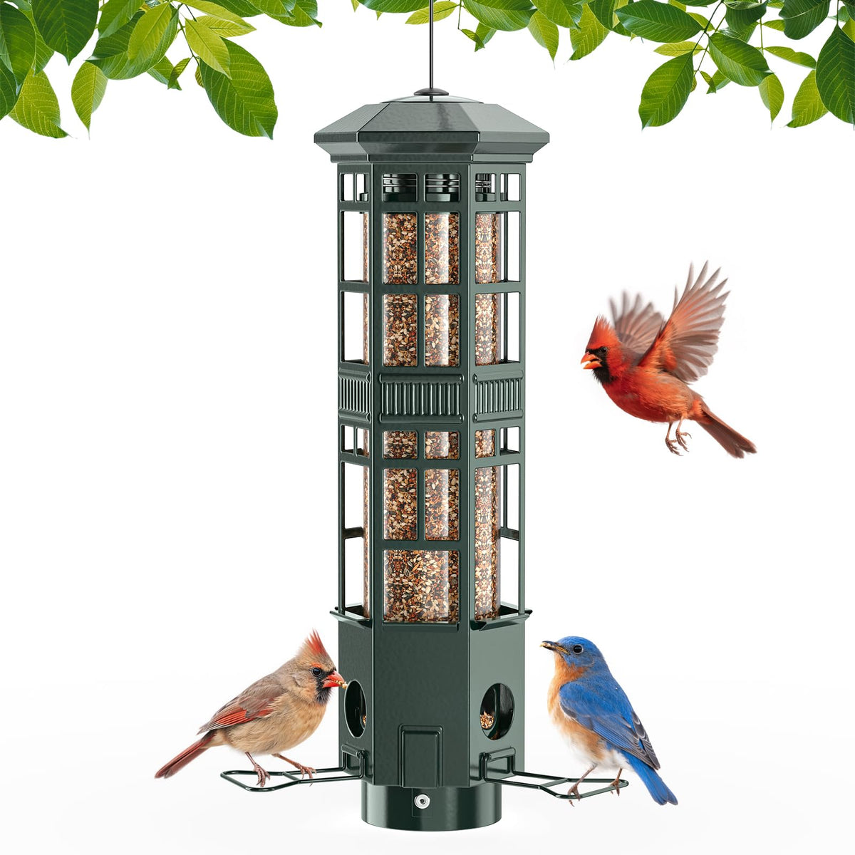 WLNYUGS Squirrel-Proof Bird Feeder with three ports in green attracts diverse backyard birds