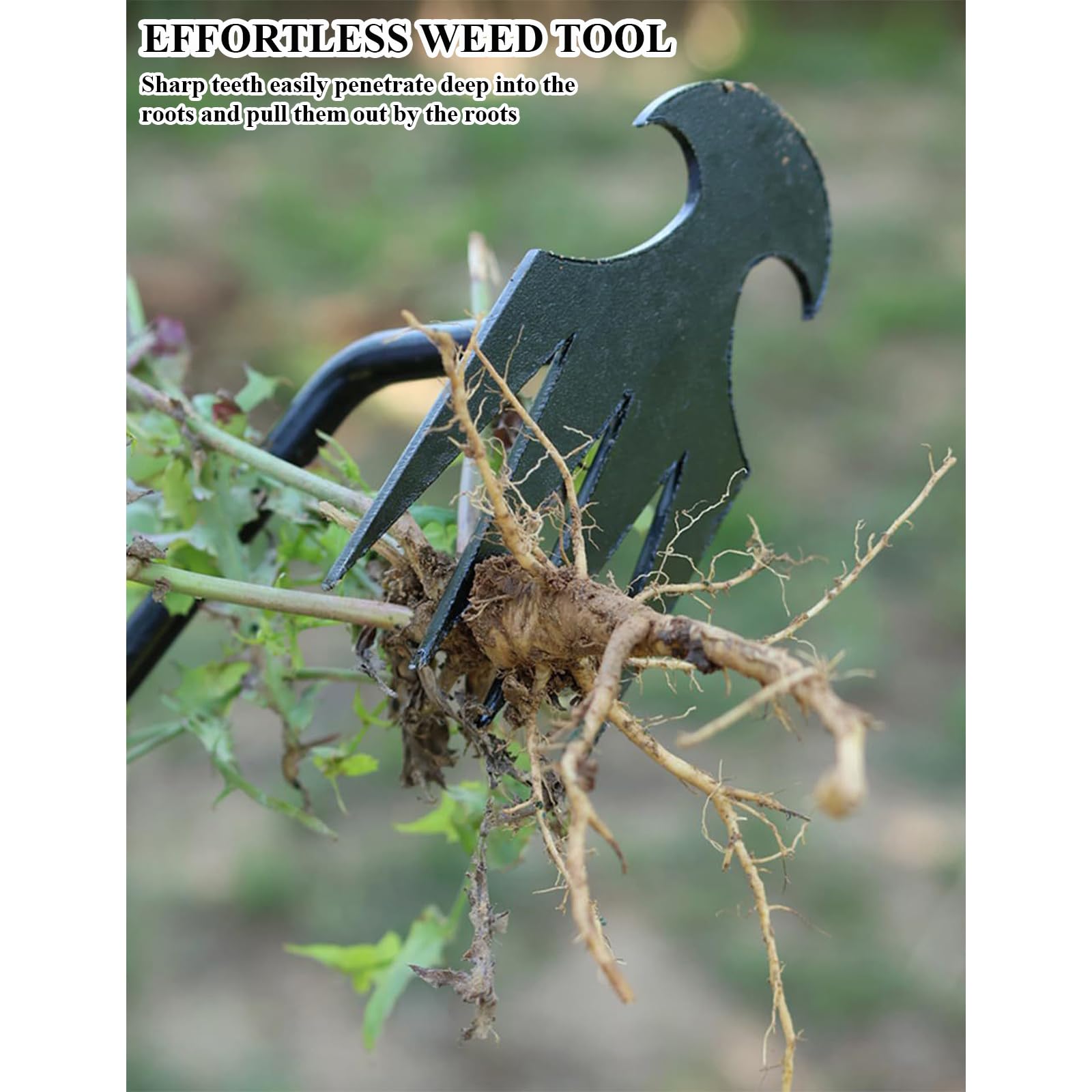 WMM Weed Puller Tool in anti-rust manganese steel for lasting durability.