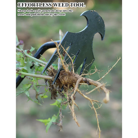 WMM Weed Puller Tool in anti-rust manganese steel for lasting durability.