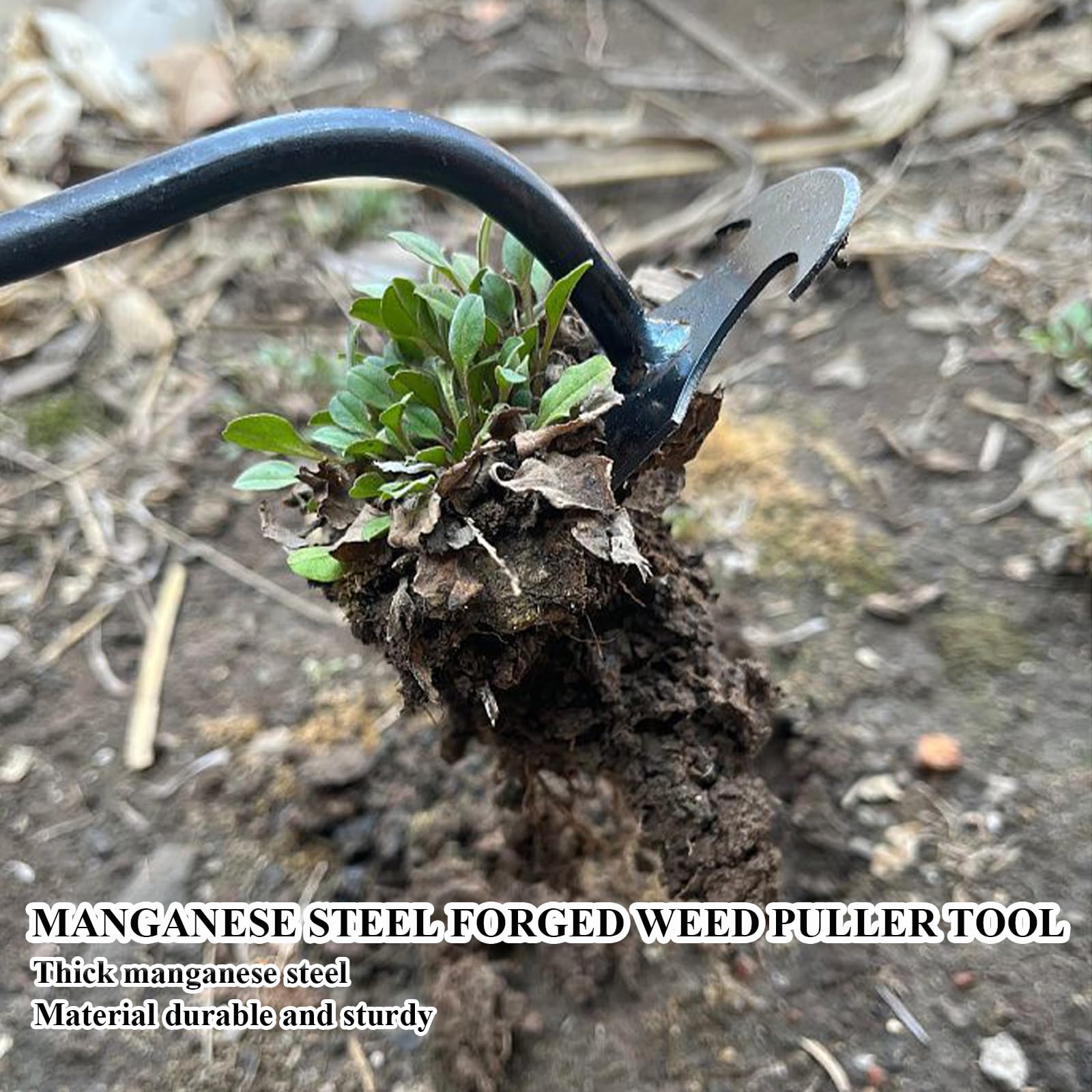 WMM Weed Puller Tool features a comfortable handle for steady grip.