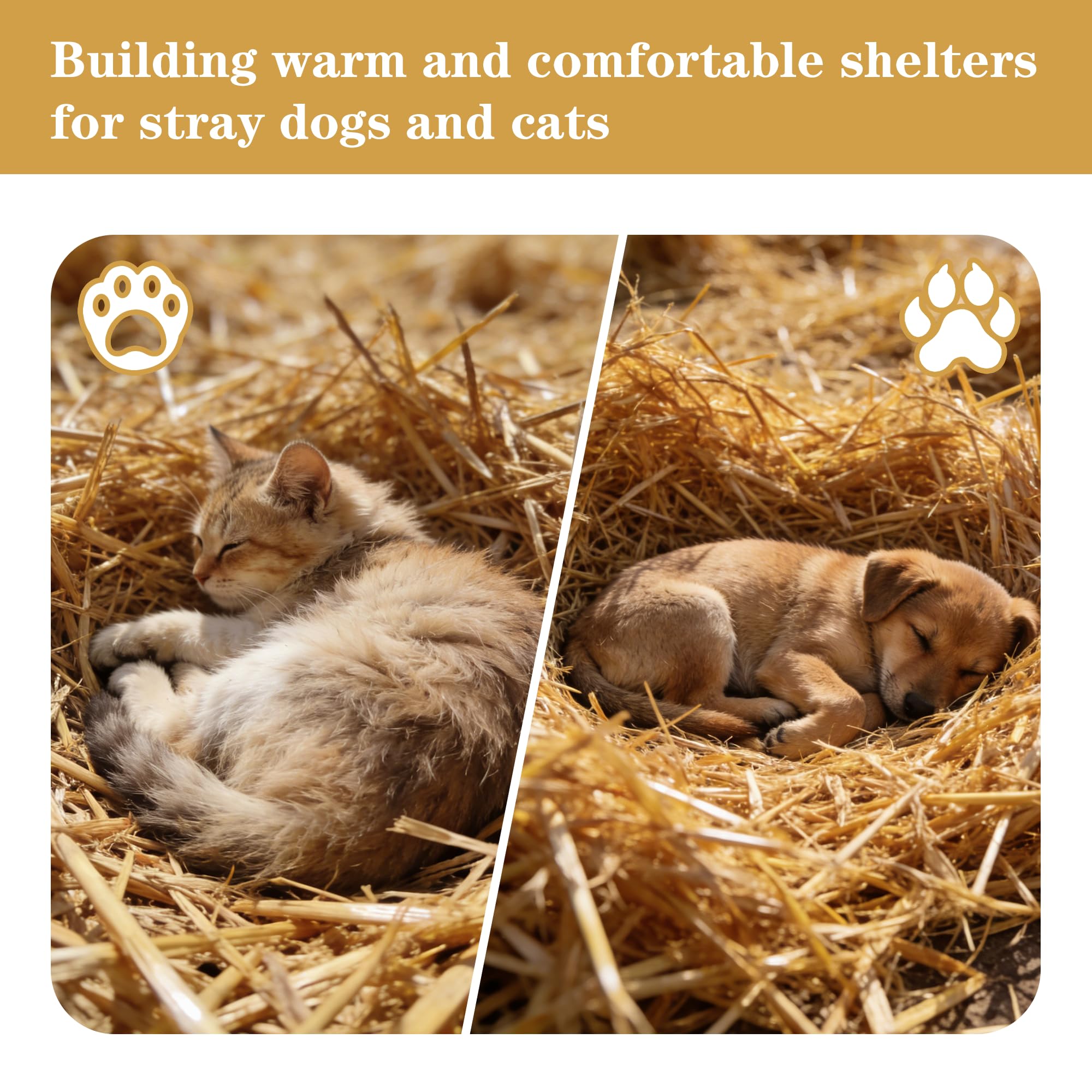 WNJ wheat straw animal bedding cozy setup for small pets.