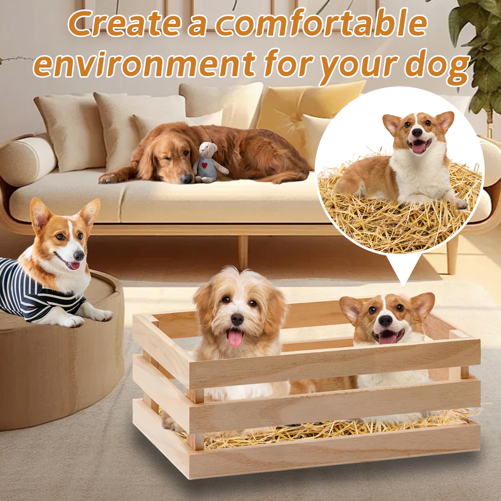 WNJ wheat straw eco friendly material for outdoor use.