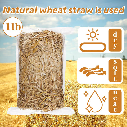 WNJ wheat straw landscaping decor adds natural texture to beds.