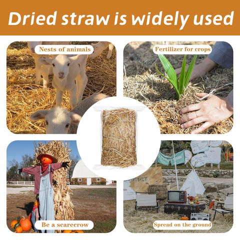 WNJ wheat straw vacuum packed container keeps bale clean and portable.