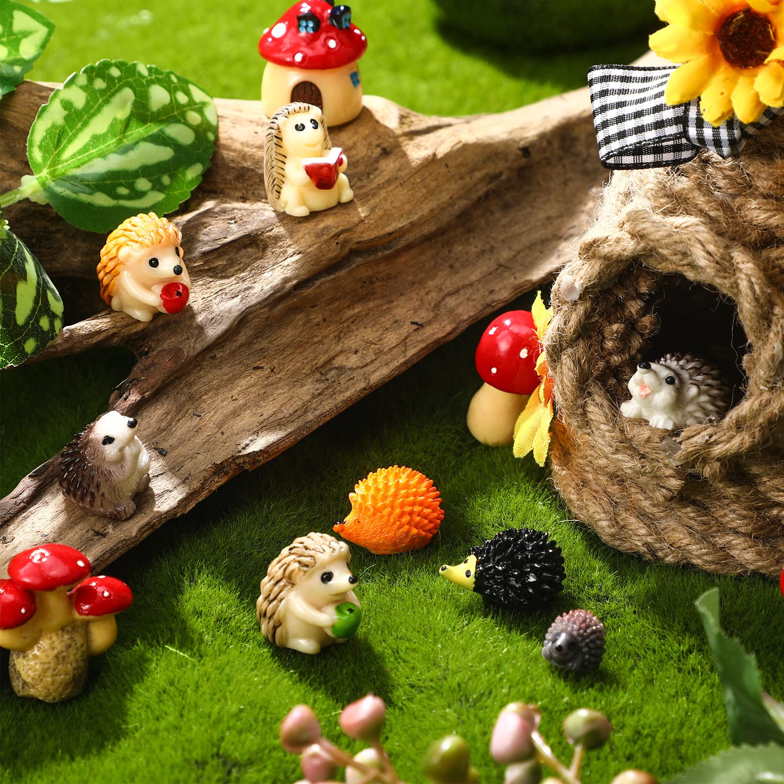Woanger miniature garden set with hedgehog and mushroom for versatile decorating options