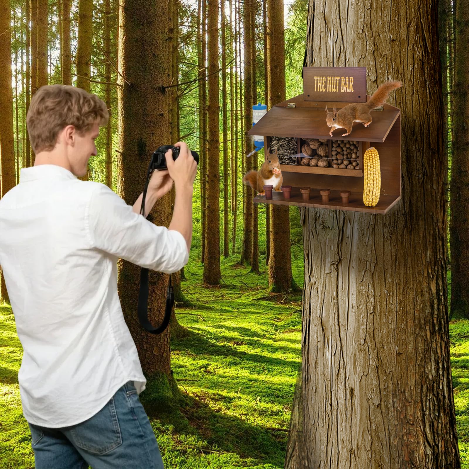 WodGod five-stool setup supports multiple squirrels feeding at once in a yard.