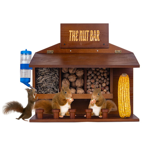WodGod wooden squirrel picnic table feeder, large, ideal for outdoor viewing and safe feeding.