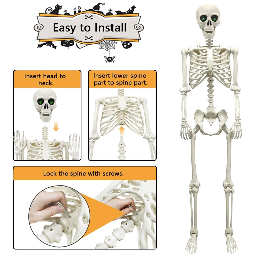 WODMAZ bendable joints allow dynamic poses on life-size skeleton