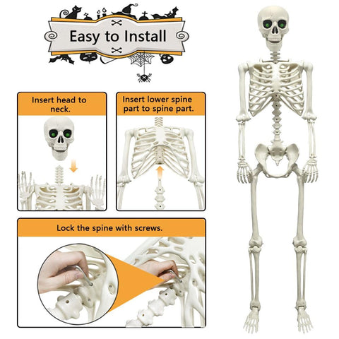 WODMAZ bendable joints allow dynamic poses on life-size skeleton