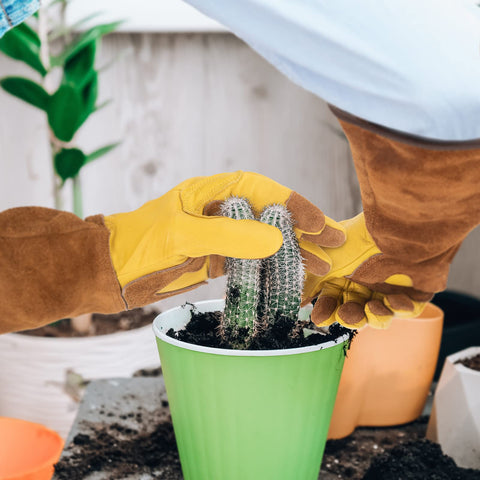 WOHEER ergonomic thumbs improve control for delicate trimming
