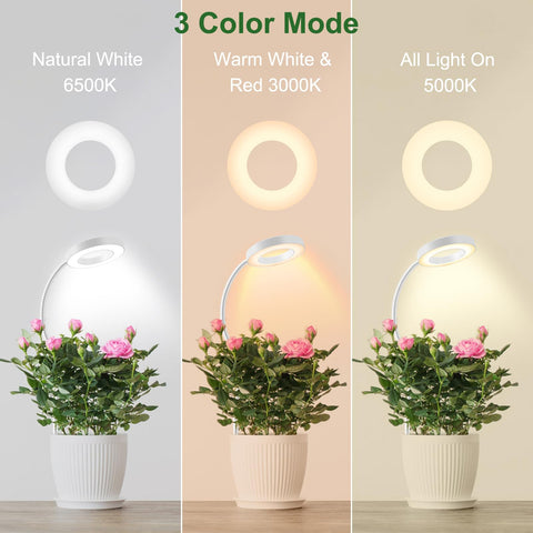 Wolezek grow light clamp-on option for pot setup, quick and flexible.