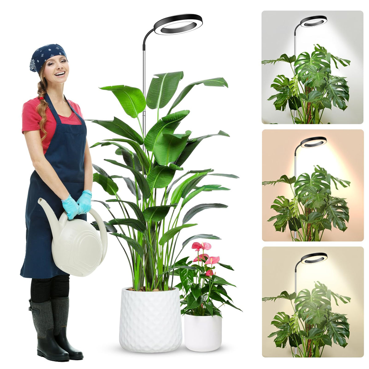 Wolezek Grow Lights with 65-inch tall design for stable indoor plant setup