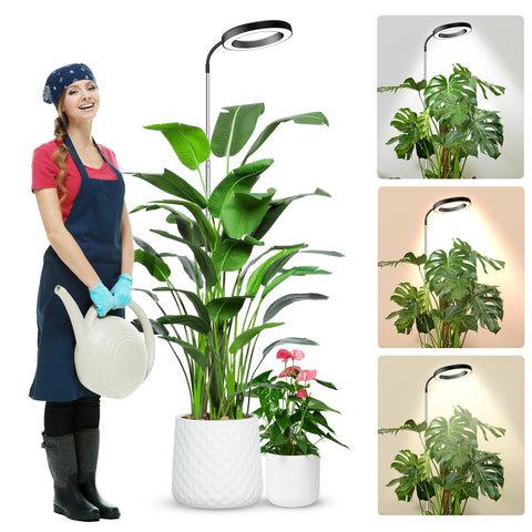 Wolezek Grow Lights with 65-inch tall design for stable indoor plant setup