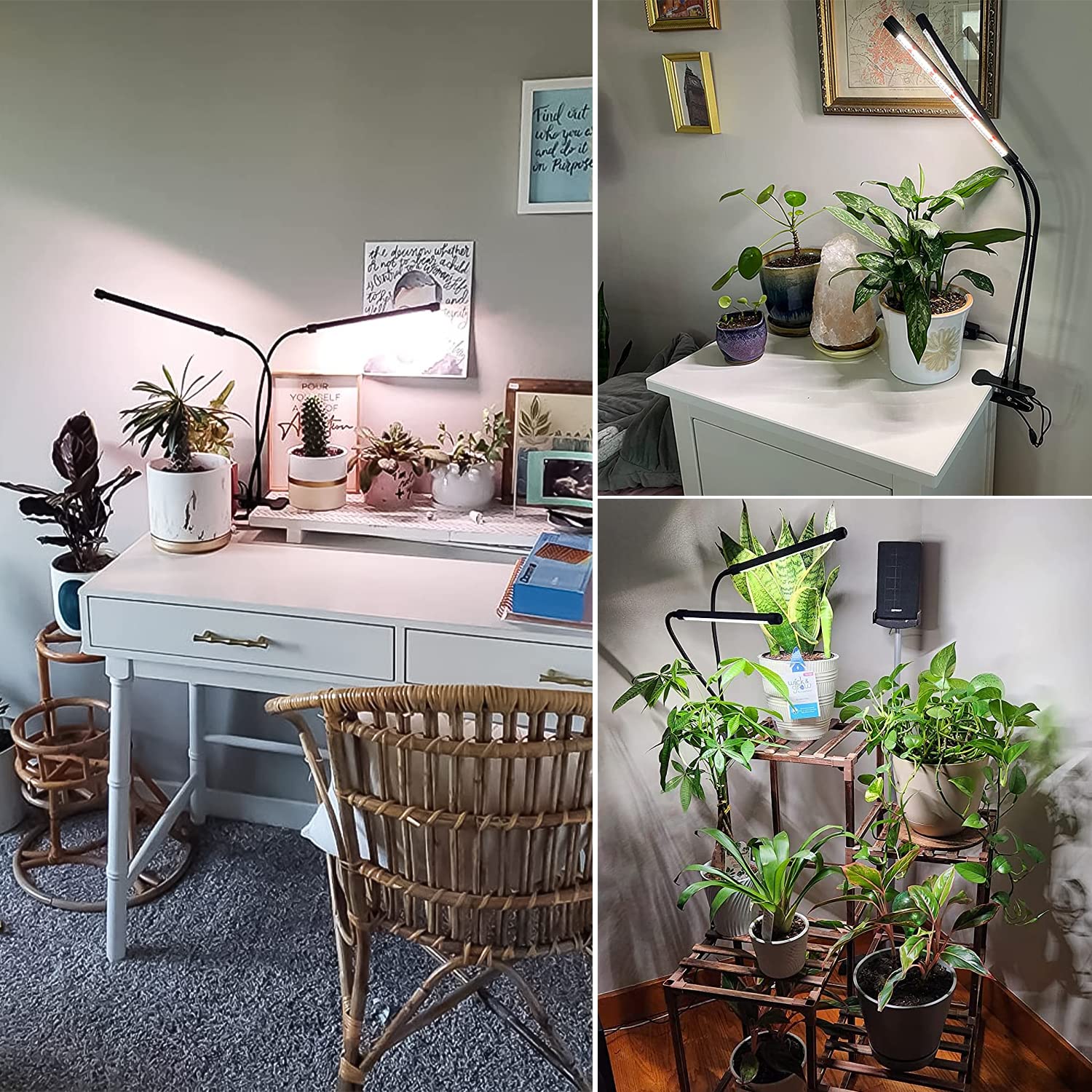 wolezek Grow Lights auto timer for hands-free scheduling