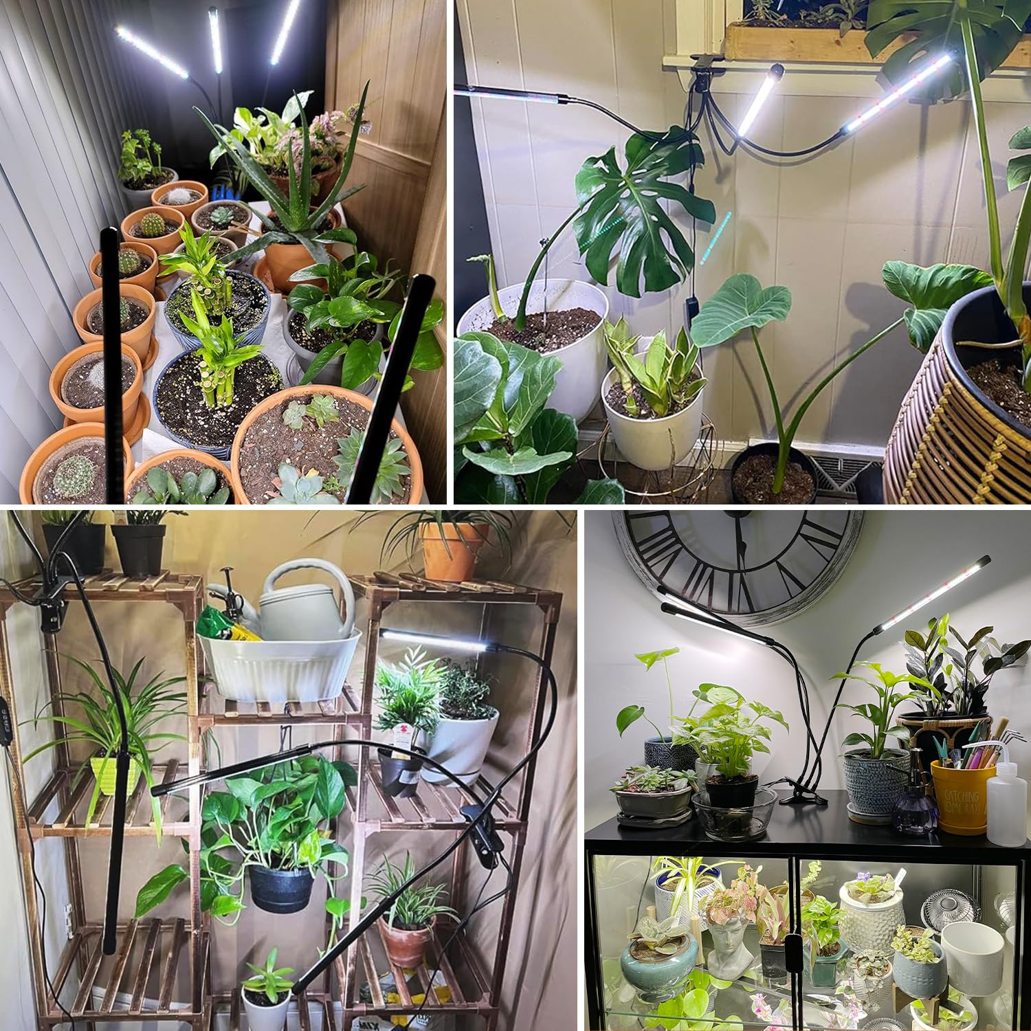 Wolezek grow lights compact design fits small spaces.