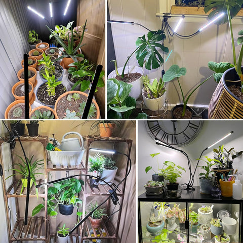 Wolezek grow lights compact design fits small spaces.