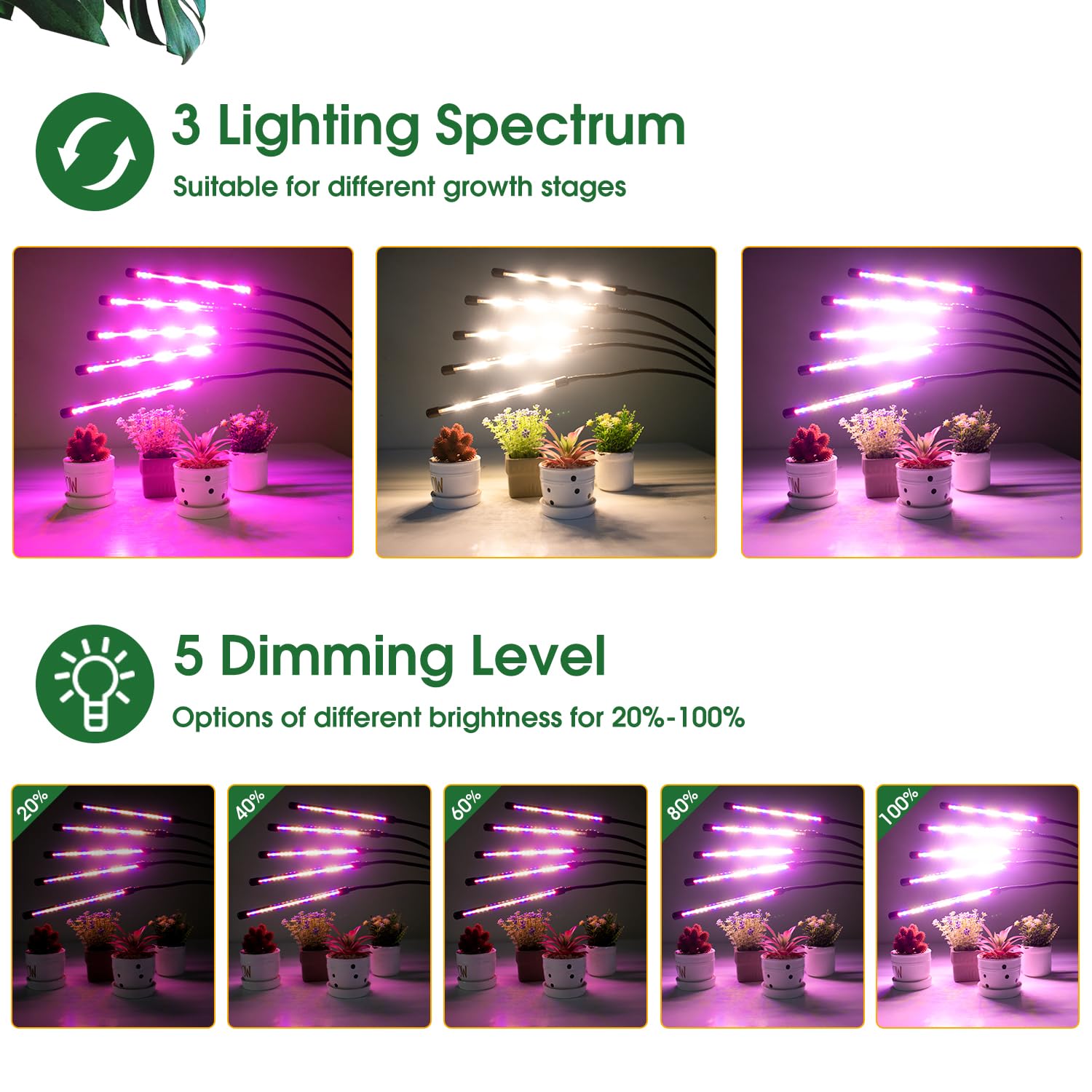 Wolezek five gooseneck arms provide precise light positioning.