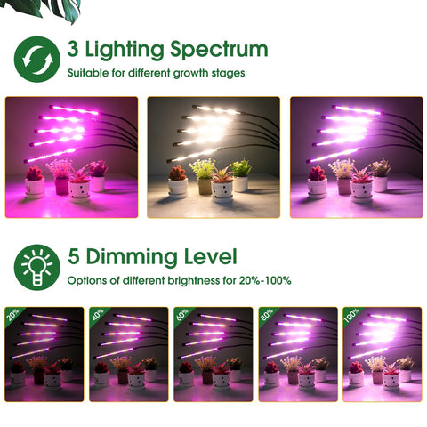 Wolezek five gooseneck arms provide precise light positioning.
