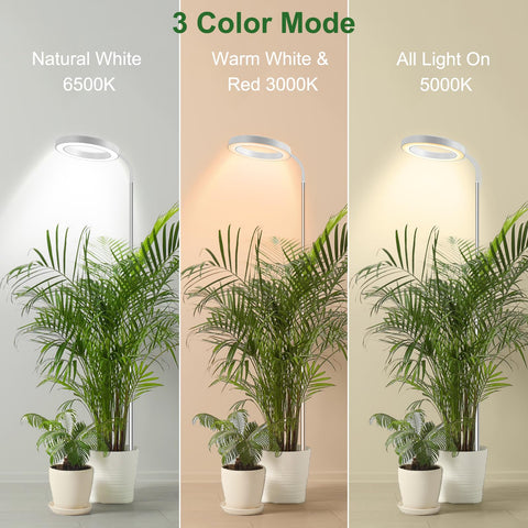 Wolezek grow lights include timer options for consistent cycles.