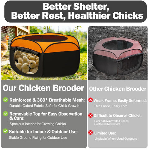 WOLOGO Breathable mesh panel ensures airflow for healthy chicks