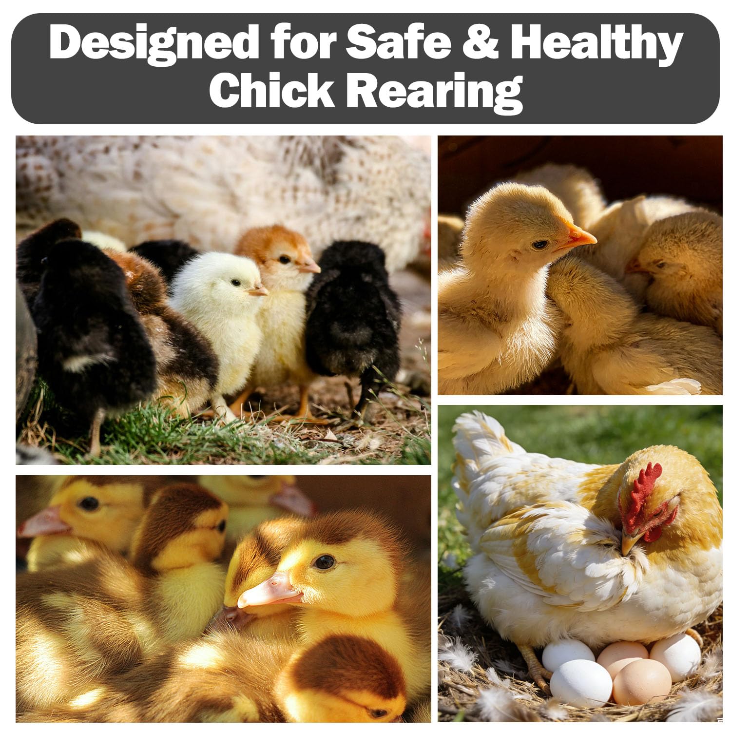 WOLOGO Roll-up curtain blocks drafts while keeping chicks comfortable