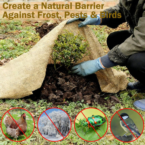 WOLOGO burlap tree wrap demonstrates bark protection with breathable fabric