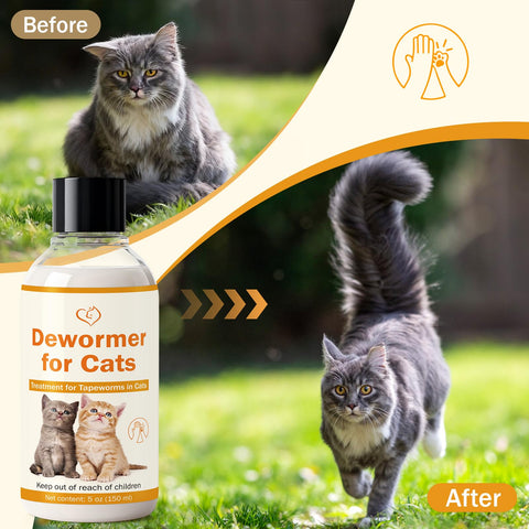 WOMRICH cat and kitten using the dosing syringe for simple administration.